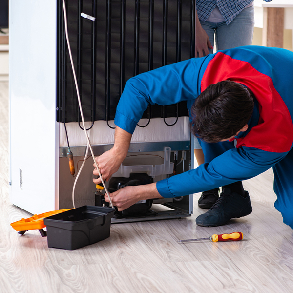 what are the common refrigerator repair services in Lake Shore